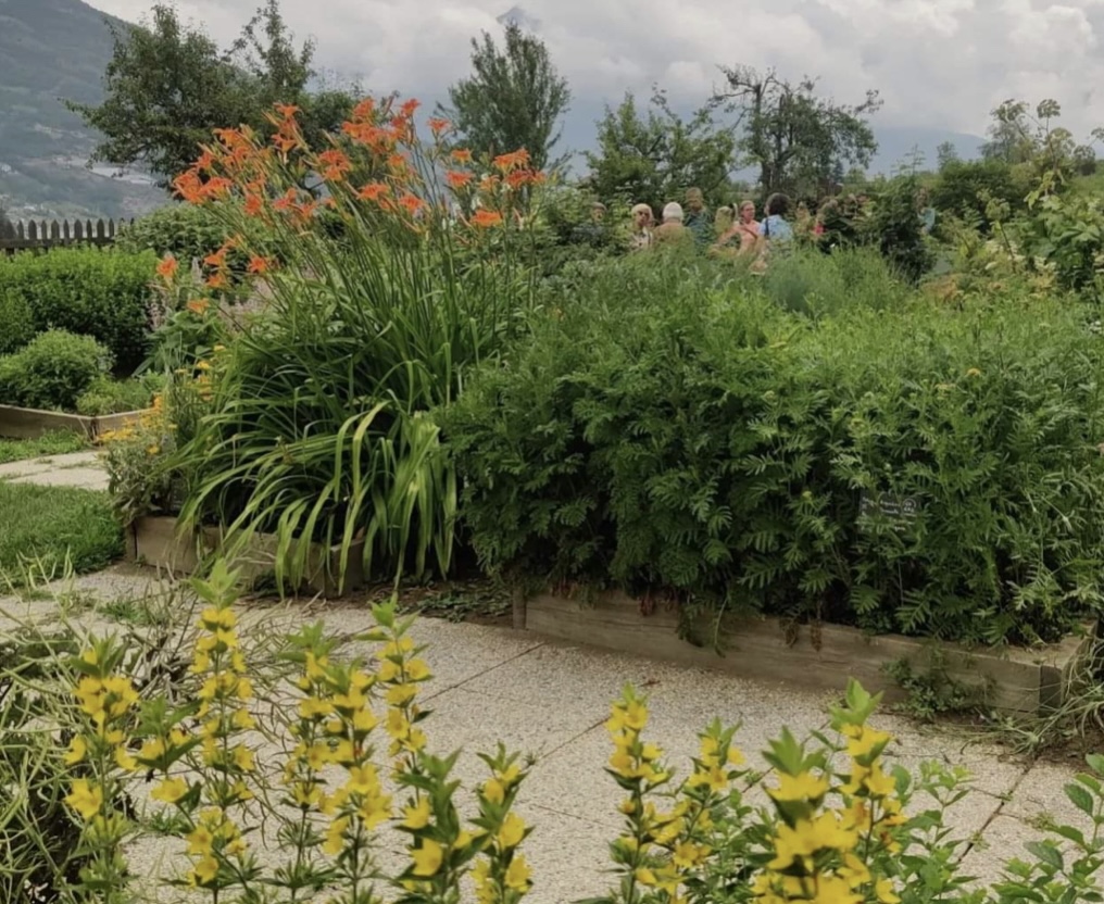 Il giardino della Maison