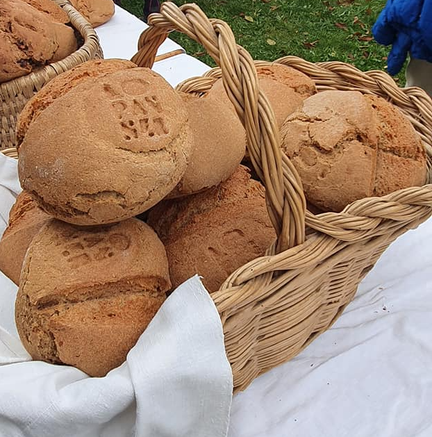 Pane Nero