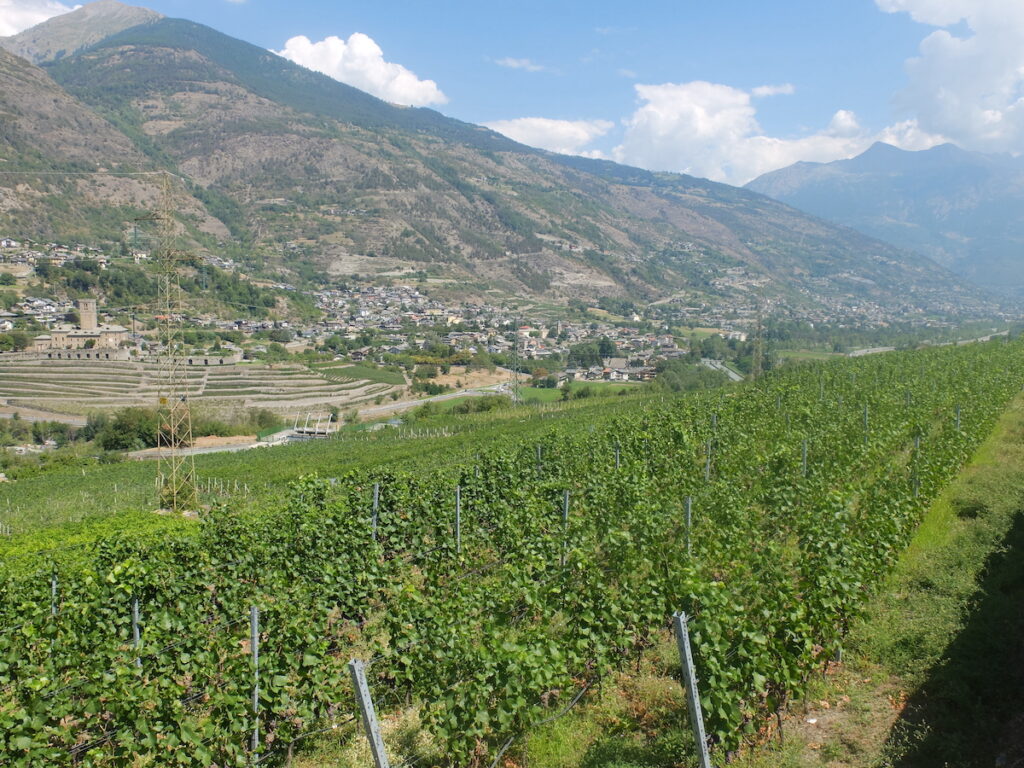 Vini in vigna Aymavilles