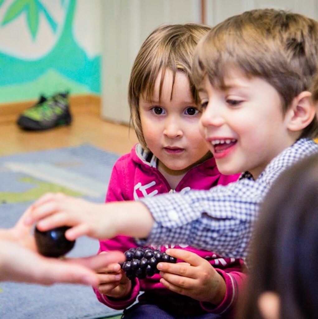 Butterfly English School