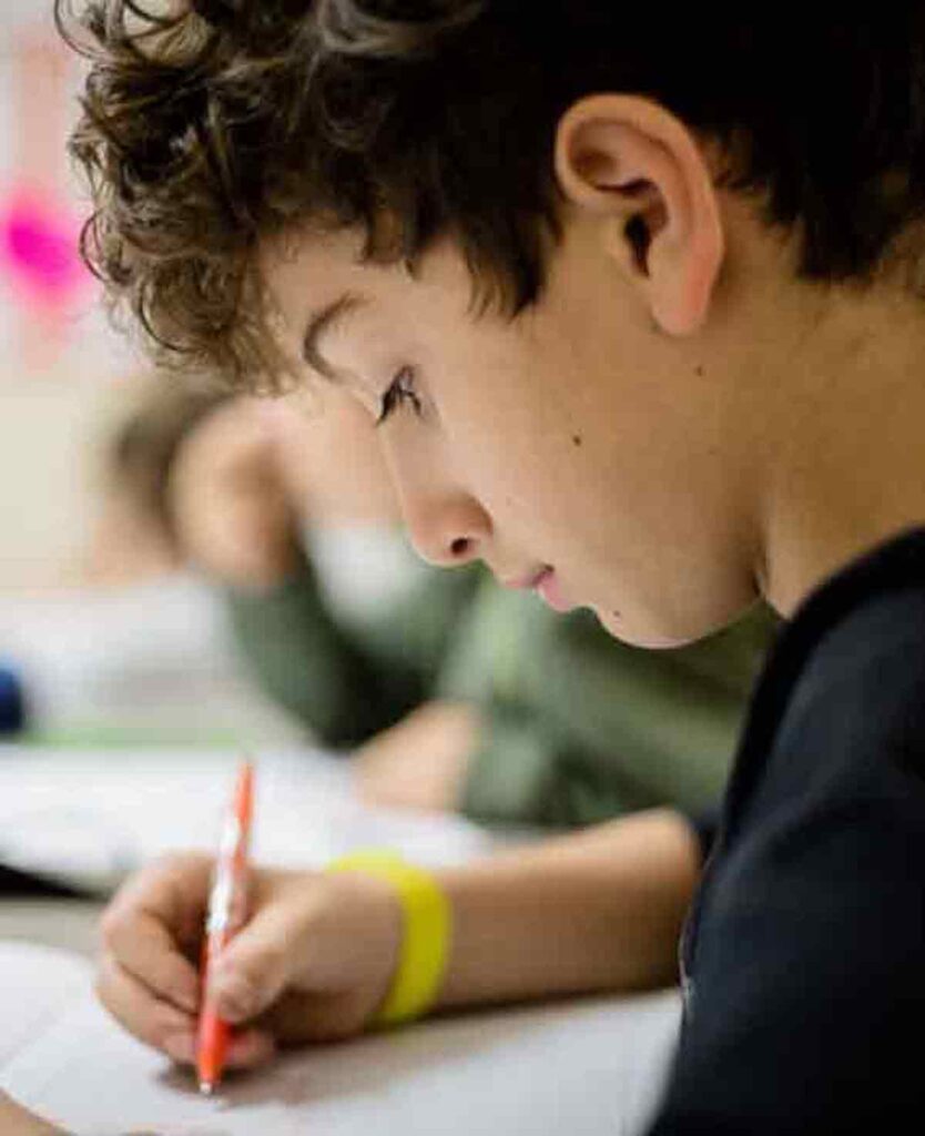 Butterfly English School