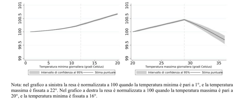 Il rapporto tra temperatura e produzione di mais