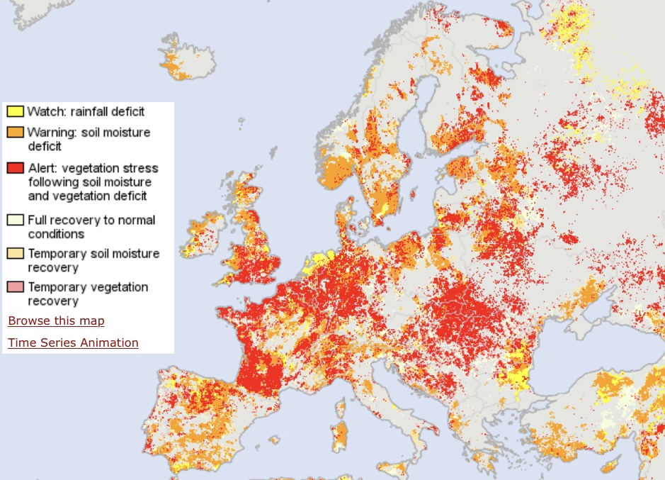 La mappa dello European Drought Observatory