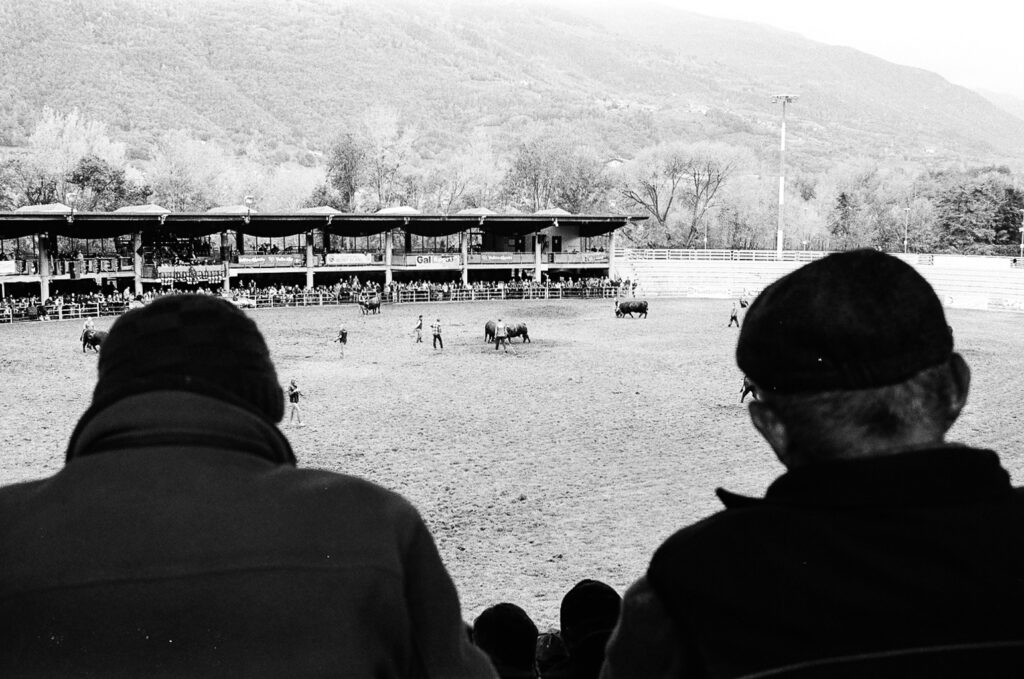 Finale Regionale Batailles de Reines Foto Luca Benedet