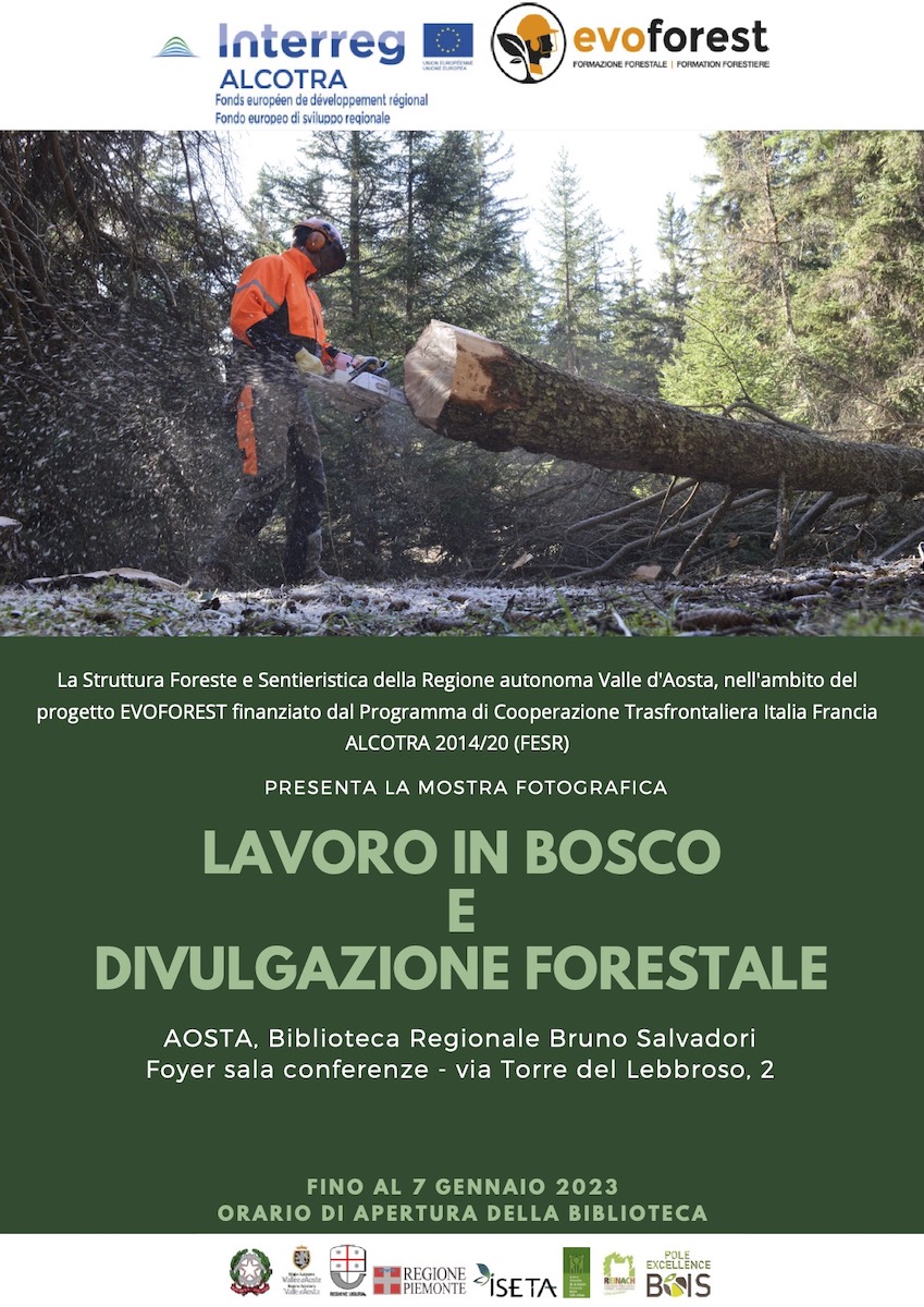 Mostra fotografica "Lavoro in bosco"