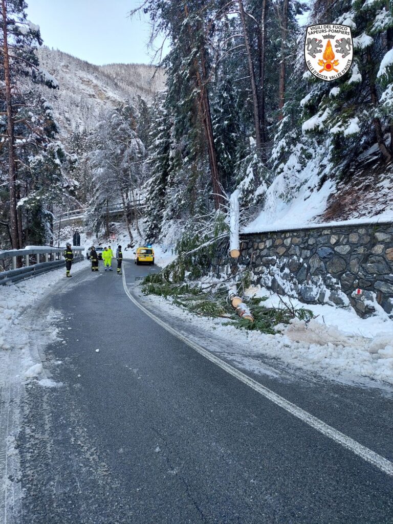 Taglio piante Pré-Saint-Didier