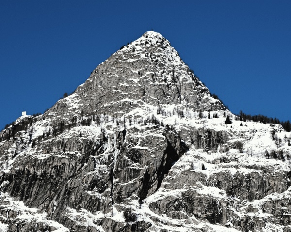 Venti nuovi ciliegi ai piedi del Monte Bianco