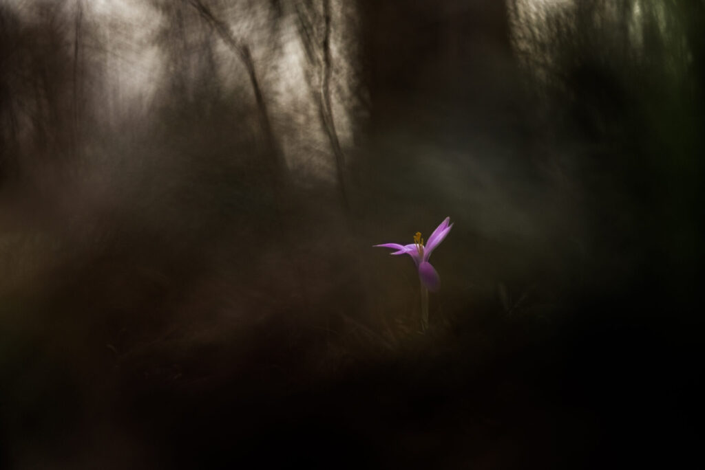 “Fotografare il Parco”