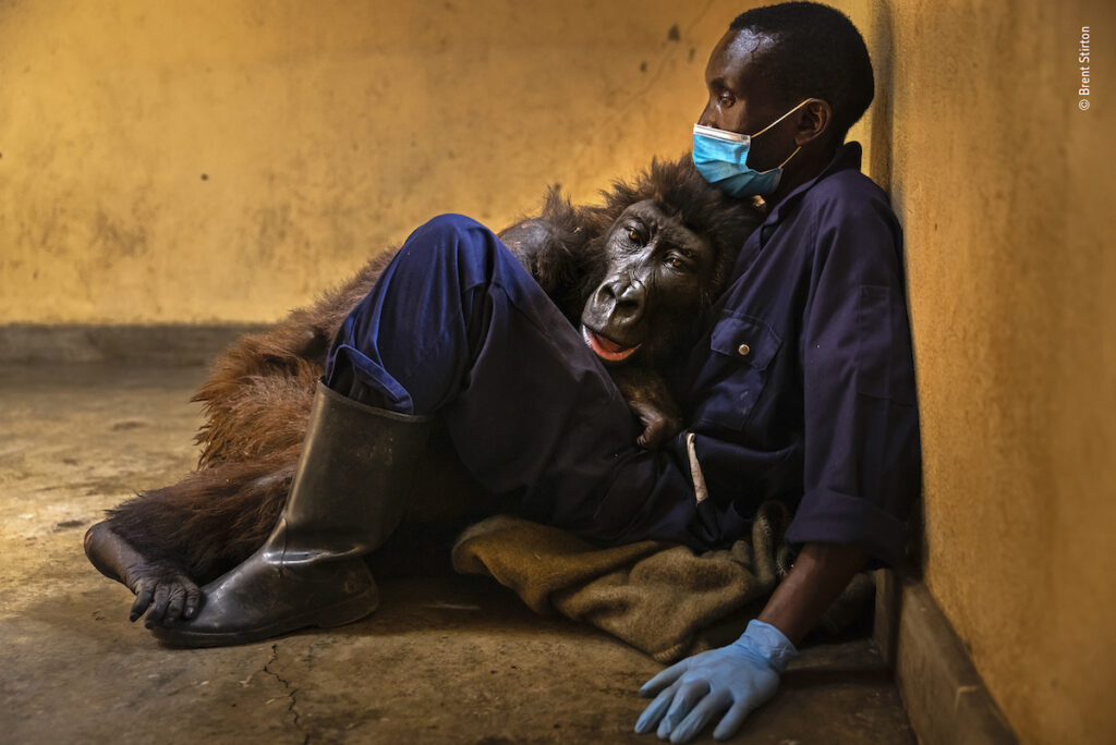 Brent Stirton Wildlife Photographer of the Year