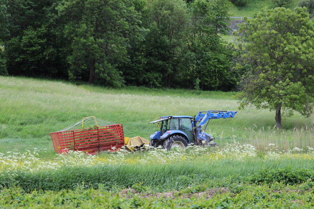 Agricoltura