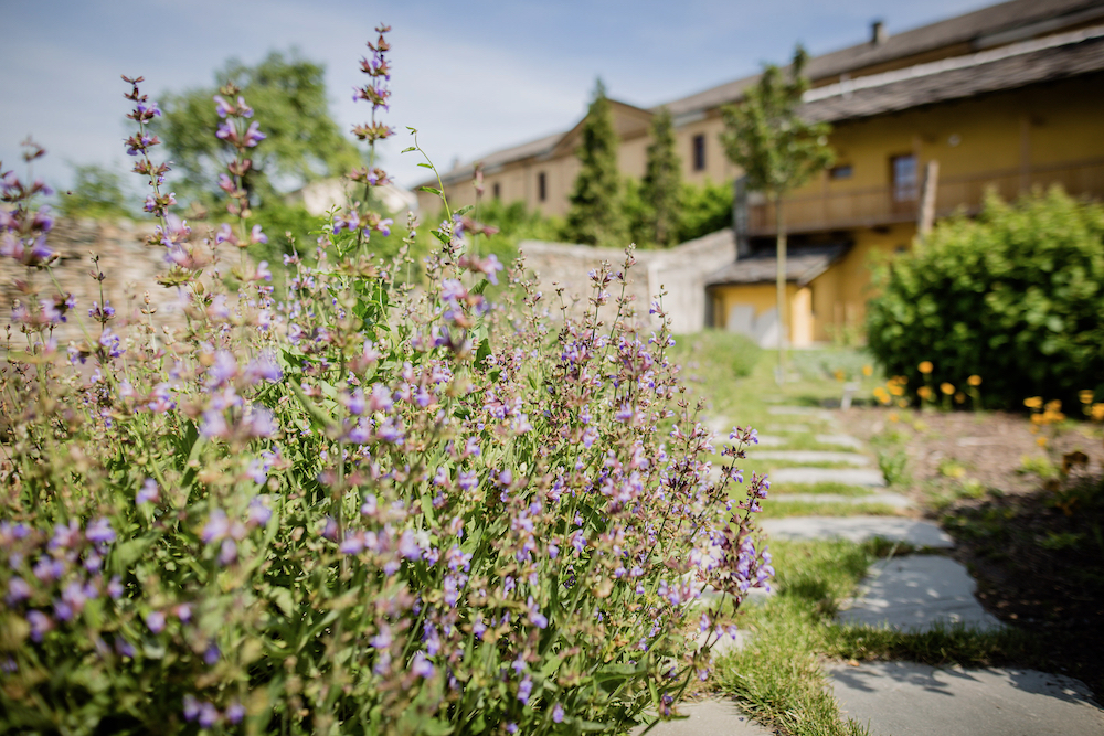 Giardino Botanico Sperimentale dott nicola Aosta