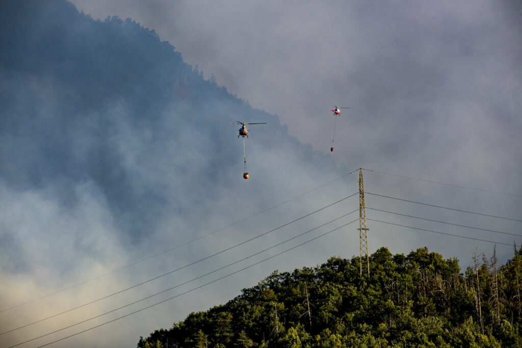 Incendio boschivo foto Enzo Massa Micon