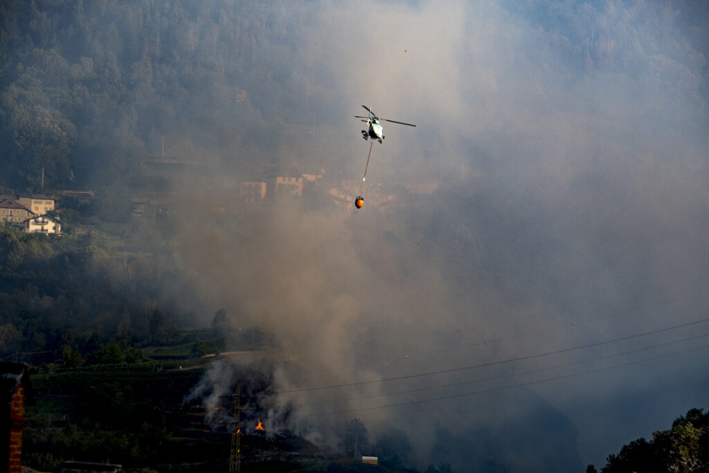 Incendio boschivo foto Enzo Massa Micon