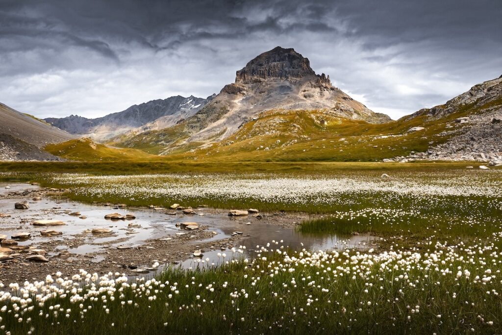 Parc national de la Vanoise Un lac de linaigrettes Catherine Aupetit