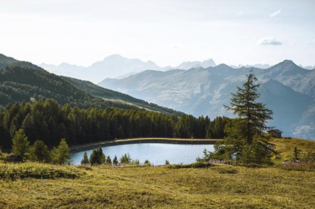 Vivi la natura di Pila più a lungo con le aperture straordinarie