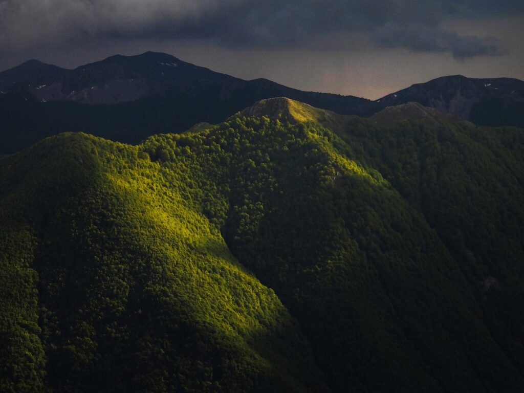 Riflessi di verde Francesco Rosato