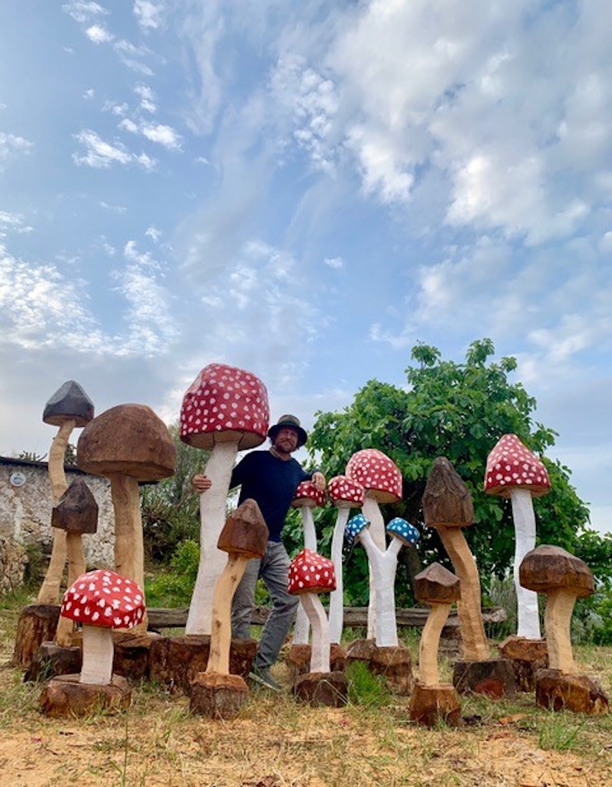 The Mushroom forest Vecchi