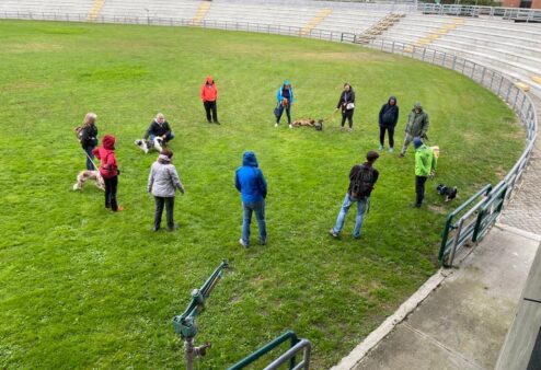 Aperte le iscrizioni per il nuovo corso per ottenere il patentino per i cani