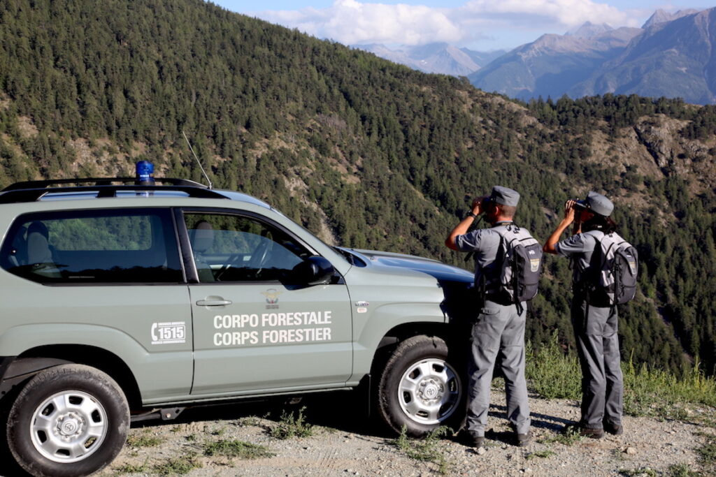 Corpo forestale - forestali