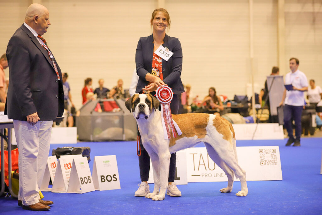 "Lio" al World Dog Show - (c) Fondation Barry (Déborah Dini)