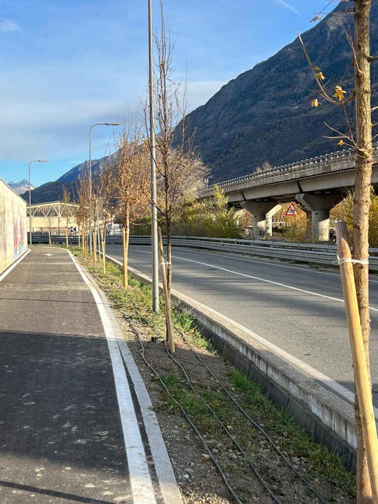 Le piantumazioni attorno alla pista ciclabile di Aosta