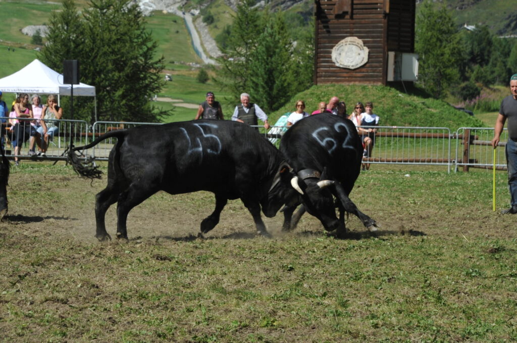 Batailles des moudzons