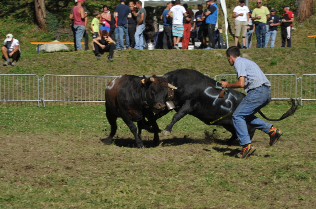 Batailles des moudzons