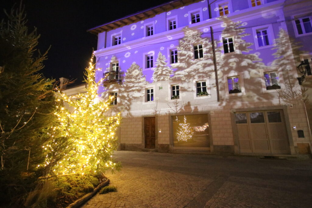 Marché Vert Noel