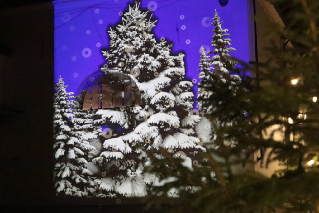 Marché Vert Noel