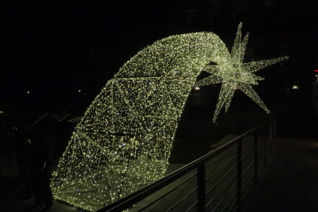 Marché Vert Noel