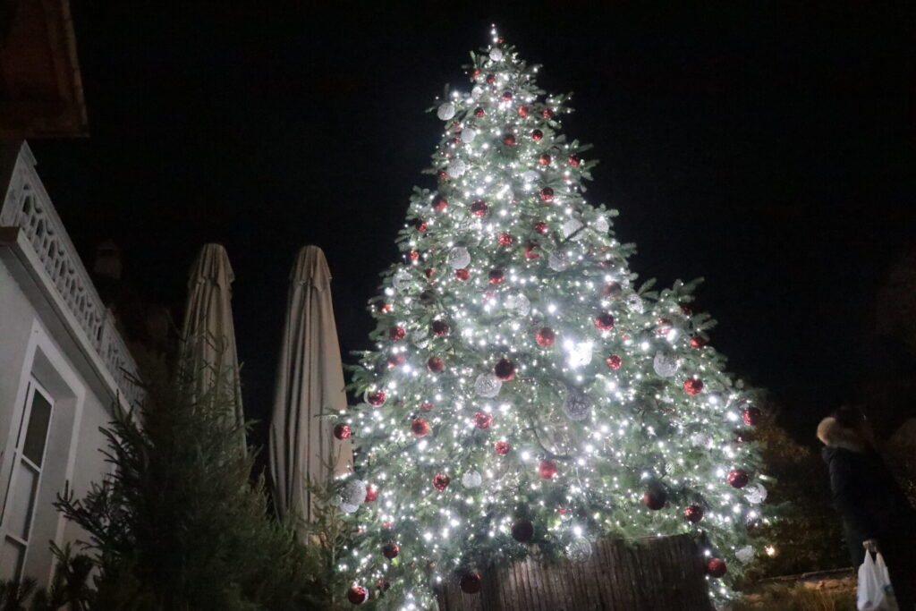 Marché Vert Noel