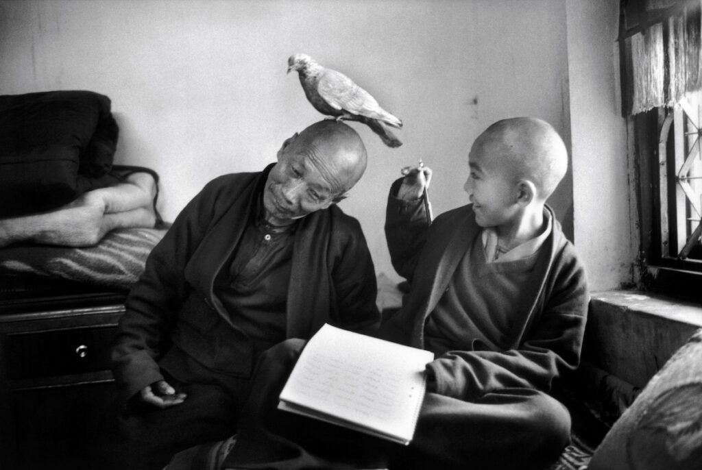 Tulku Khentrul Lodro Rabsel, 12 ans, avec son tuteur Lhagyel, monastère Shechen, Bodnath, Népal, 1996 - Martine Franck / Magnum Photos