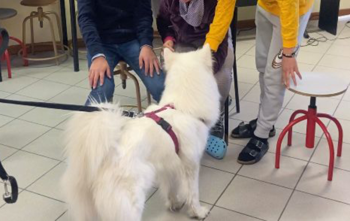 Il secondo incontro di pet therapy alla scuola media di Gressoney Saint Jean