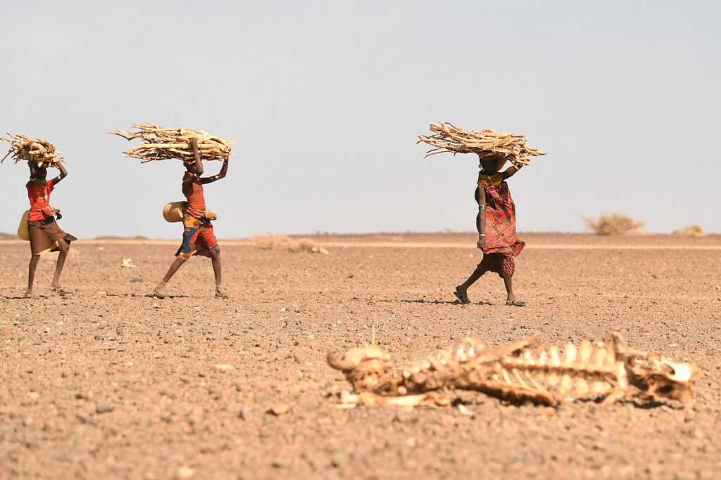 KENYA DROUGHT ENVIRONMENT