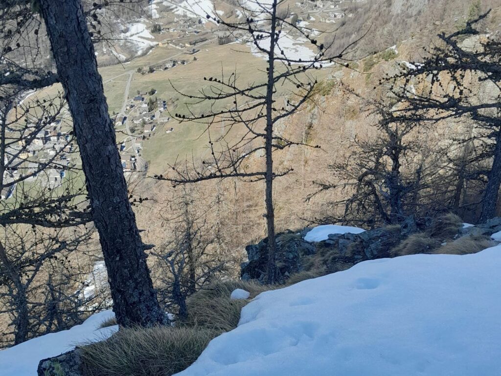 Recupero cani Vigili del fuoco