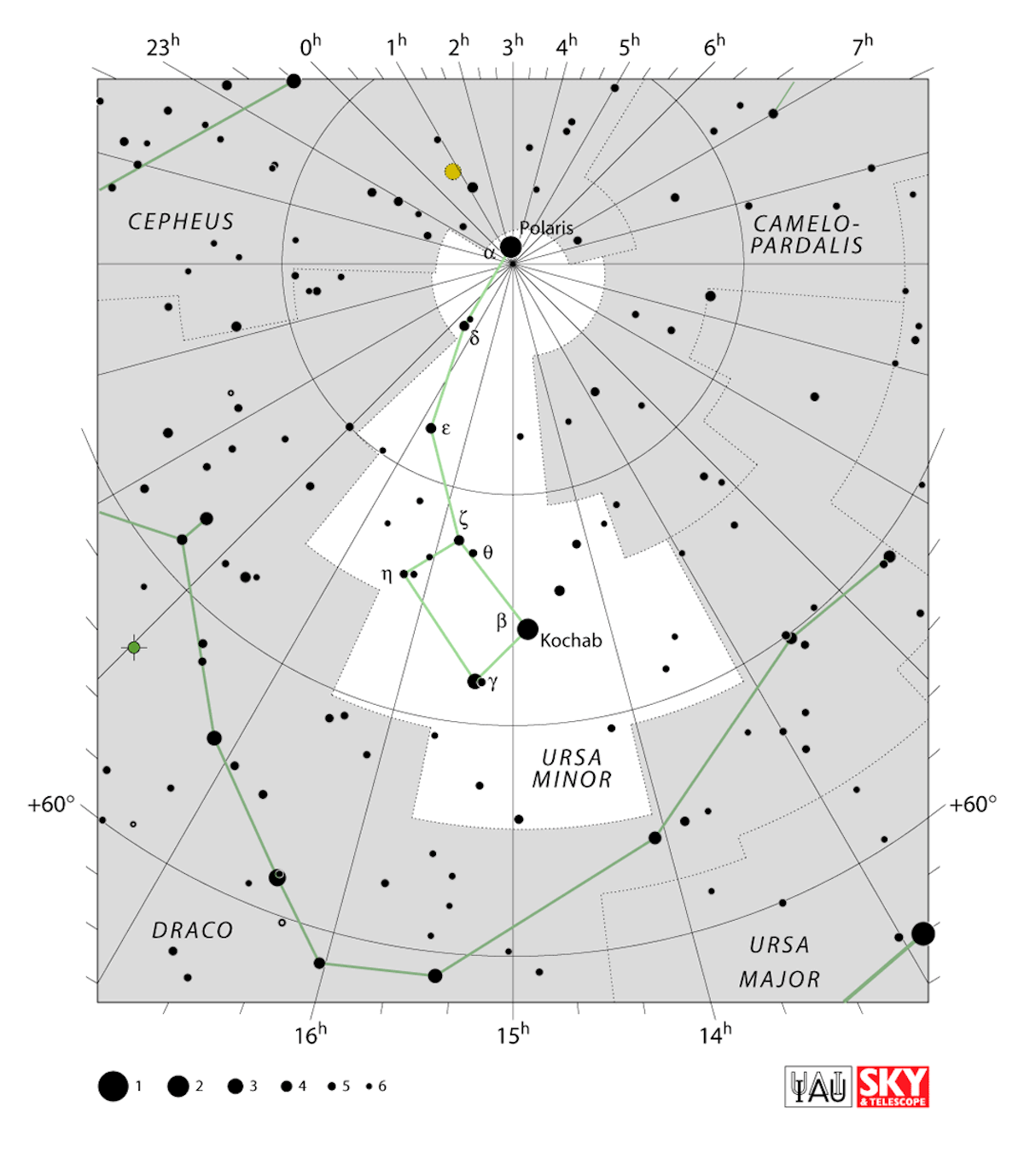La costellazione dell’Orsa Minore: in evidenza la sagoma del Piccolo carro. Credit: IAU/ SKY & Telescope (https://www.iau.org/static/public/constellations/gif/UMI.gif)