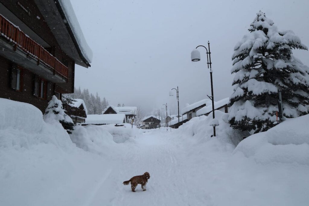 Gressoney 10 marzo - foto Claudia Martino