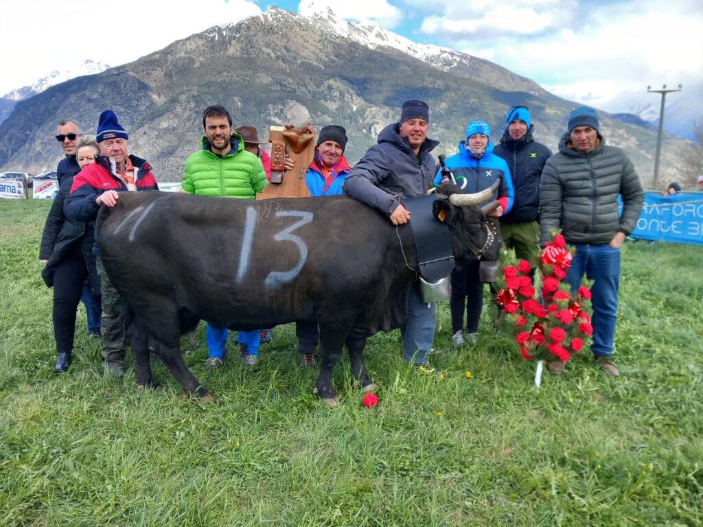 Merylin di Davide Grimod, quinta un anno fa a Etroubles, ha vinto il titolo di secondo peso contro una stremata Bambola