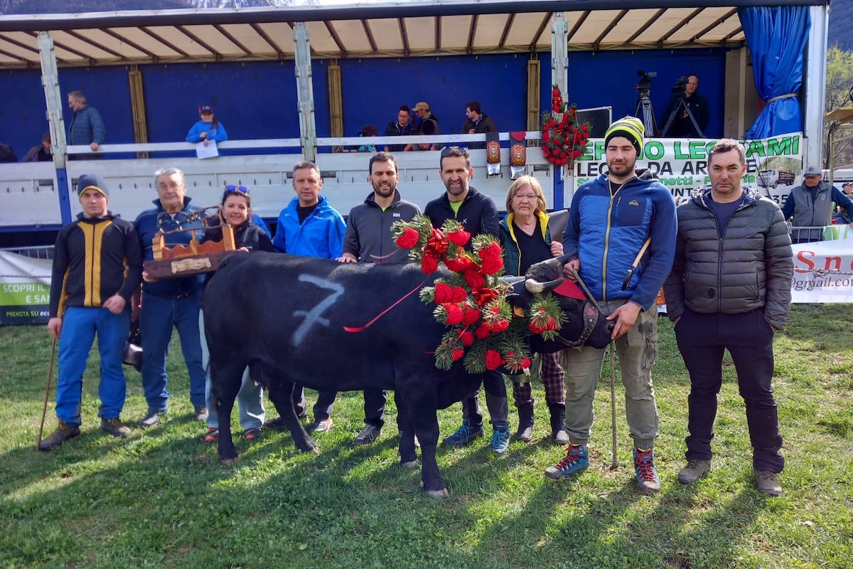 Michele Bionaz di Brissogne, uno dei sempre presenti nel mondo delle reines: con la sua Flora si è imposto nel tabellone di terza categoria