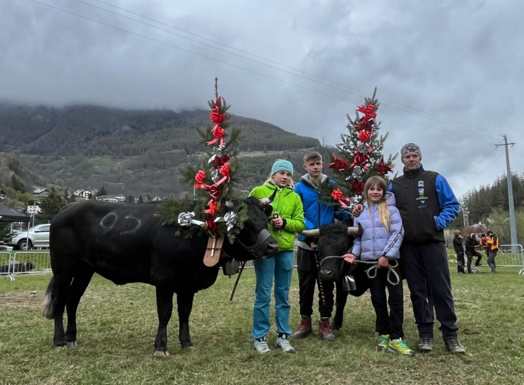 Batailles de moudzons, a Etroubles festeggiano i fratelli Diémoz di Etroubles e l’azienda Avoyer-Castellan di Saint-Rhémy-en-Bosses