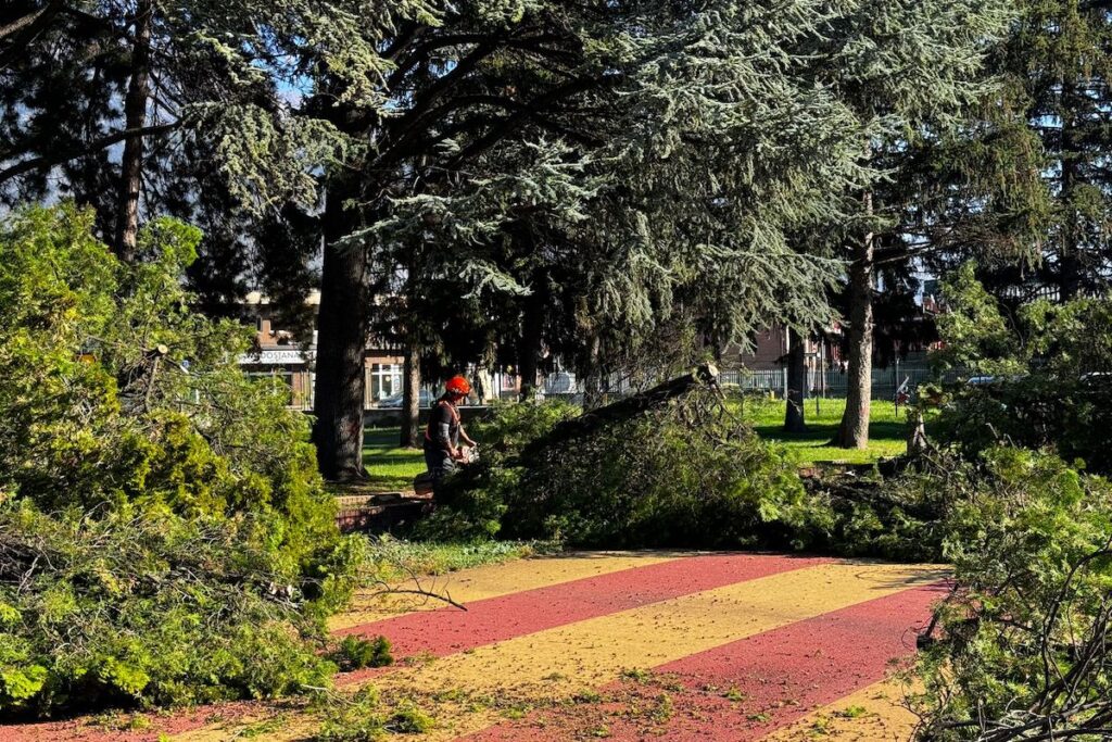 I lavori di rifacimento della pista di atletica al "Tesolin"