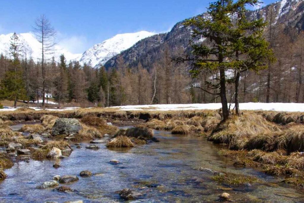 Foto trote Torrente - fiume - pesca - trote - pescatori