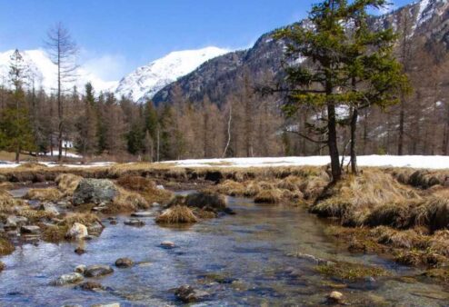 Riaperte dal 18 aprile le riserve di pesca a cattura del Lago la Palud, Torrente Ayasse e Torrente Evançon