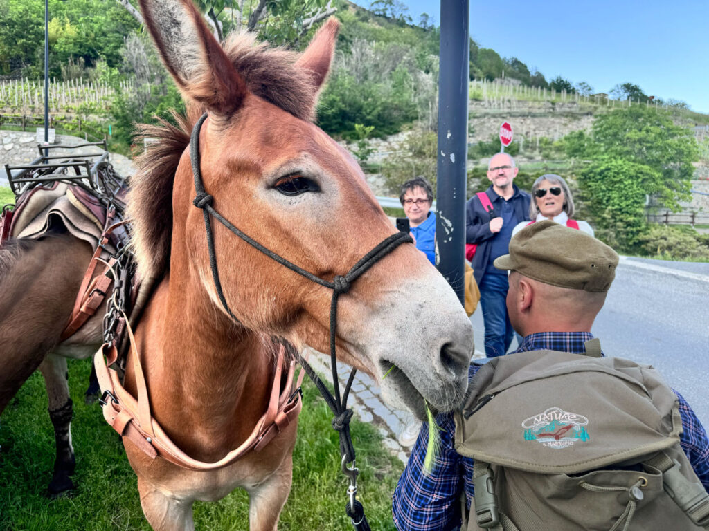 A spasso con Valentina e Naomy: una simpatica occasione per (ri)scoprire la Valle d’Aosta