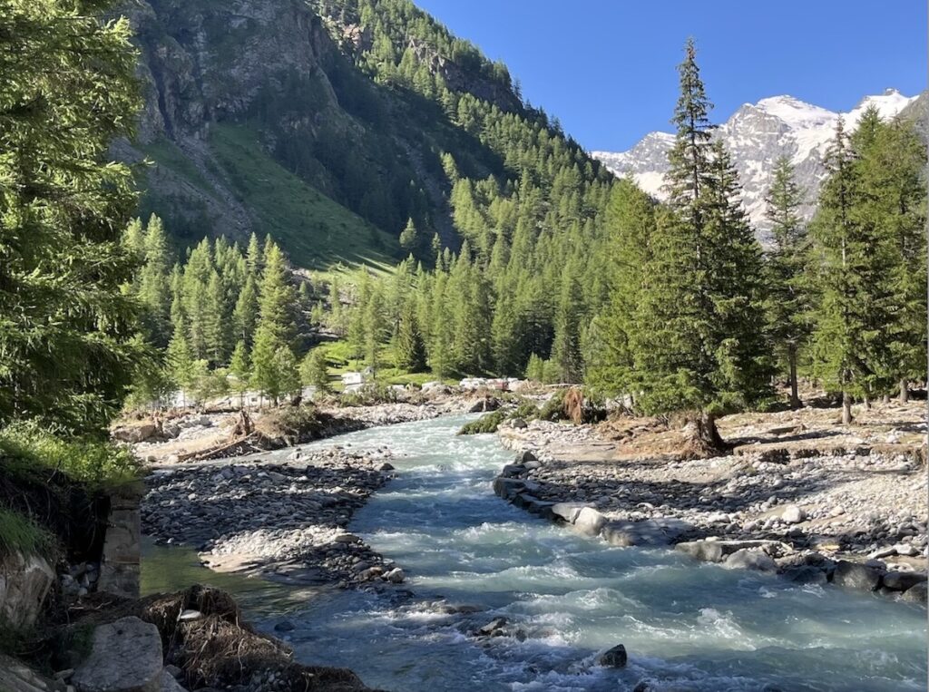 Cogne luglio