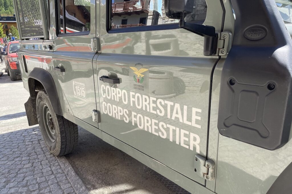 Corpo forestale - forestali