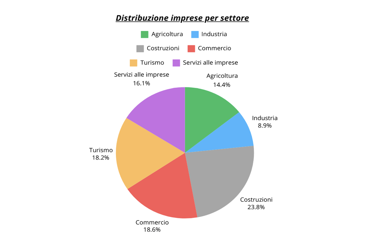 La distribuzione delle imprese per settore