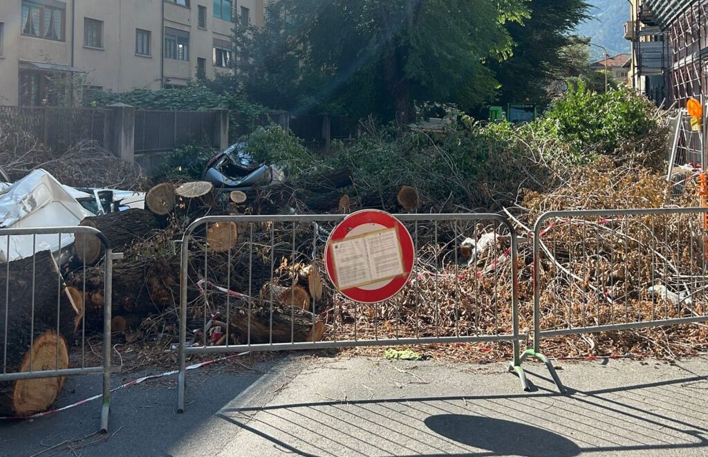 rimozione alberi caduti in via Pollio Salimbeni