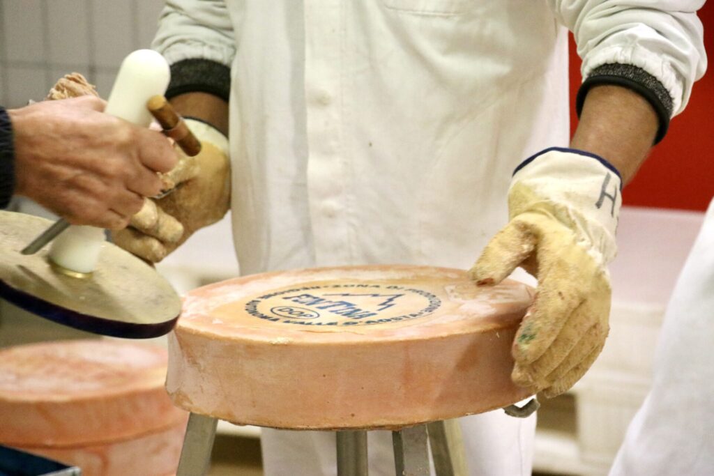 Fontina