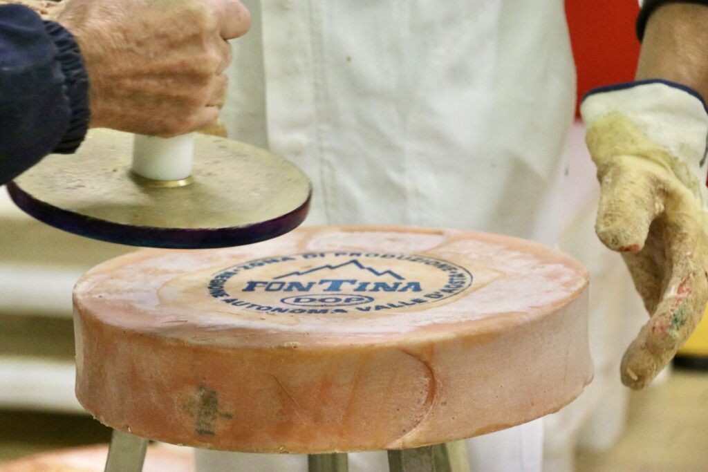 Fontina